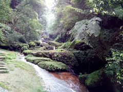 -赤水丹霞旅游区·佛光岩