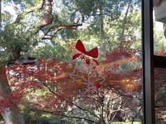 -浙江西子宾馆·瑶园咖啡厅