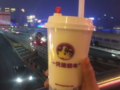 -一只酸奶牛(八一路店)
