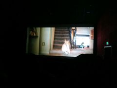 -UME影城(安贞DTS:X店)