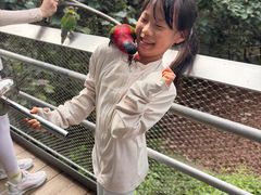 -新加坡飞禽公园