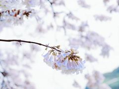 -红星桥(地铁站)