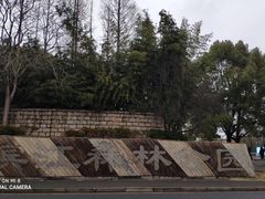 -上海滨江森林公园