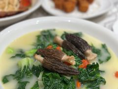 -東海薈。拉斐特(青衣城店)