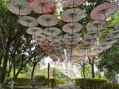 -玉石林风景区