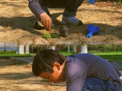-上海美帆帆船露营基地