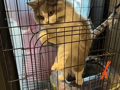 -第三空间·趣味桌游·轰趴.室内CS.剧本杀(大武汉1911店)