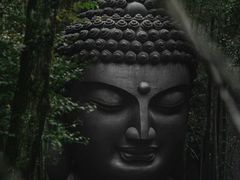 -杭州植物园