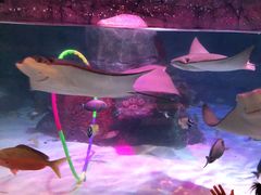 -沈阳海洋探索中心