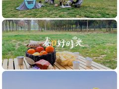 -汉长安城未央宫国家考古遗址公园