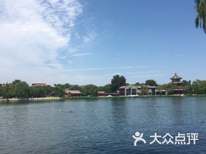 后海野鸭岛图片 - 第71张