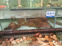 -新海利海鲜城·41年珠海老字号(夏湾店)