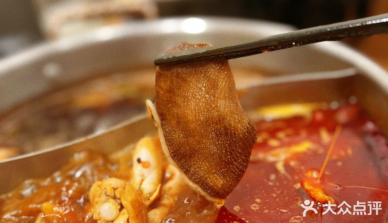 我真的会谢🆘这里能实现和牛自由耶[胜利]