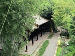 -望江楼公园