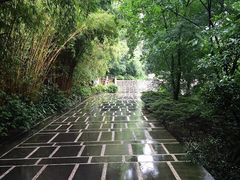 iphone_upload_pic-柏联酒店