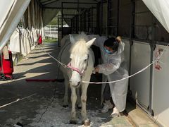 -上海崇明金茂凯悦酒店