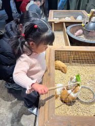 -酷嗒动物文化乐园(cutezoo西溪乐天城店)