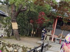-有栖山 清光院 清水寺
