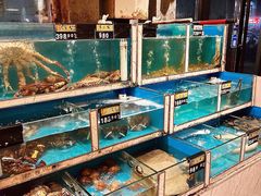 -鲜炉季港式打边炉(尚海湾店)