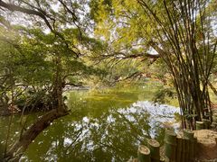 -人民公园(罗湖区)