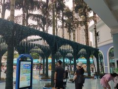 -海合安成都极地海洋公园