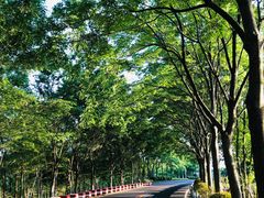 -游子山休闲旅游区