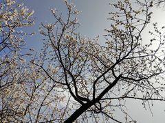 -国家植物园