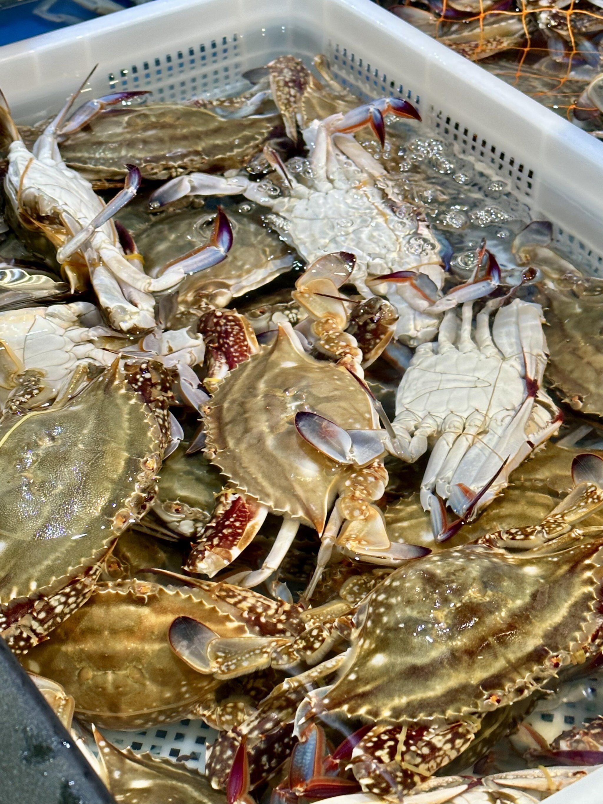 连梭子蟹都有氧包!
海鲜控表示你真的可以永远相信盒马!