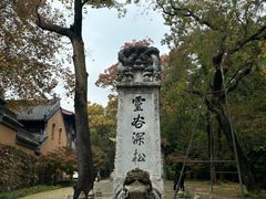 -灵谷景区
