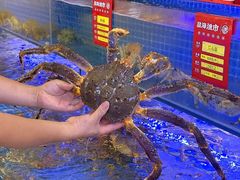 -驻海渔市(置信店)