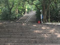 -上海佘山国家森林公园东门地面停车场
