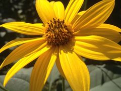 景点-十三陵水库