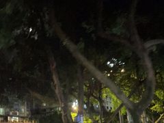 -宋胖油炸