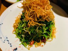 巧拌豆苗-四季民福烤鸭店(前门廊房二条店)