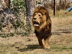 -南京金牛湖风景区
