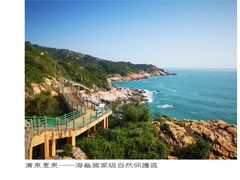 -广东惠东海龟国家级自然保护区