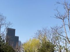 -西海子公园