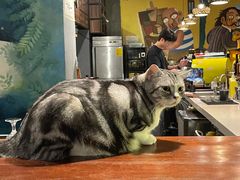 -咖法森林·咖啡  酒吧(天河店)