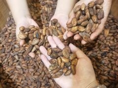 -歌斐颂巧克力小镇