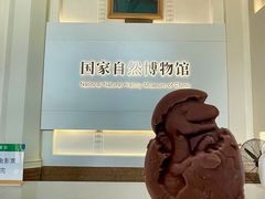 -国家自然博物馆