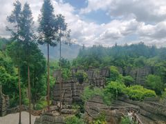 -梭布垭石林景区