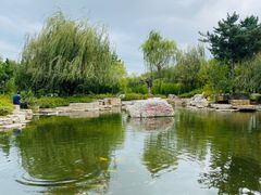 -羊亭河湿地公园