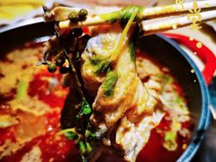 -香坝坝鲜鱼火锅(春熙路店)