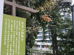 -成都市活水公园