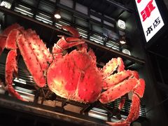 -蟹料理 北海道かに将軍(札幌本店)