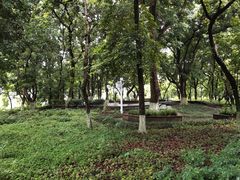 -张坝桂圆林公园