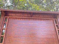 -北京鹫峰国家森林公园