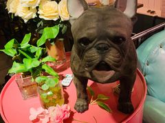 -百好乐宠物友好餐厅(朝外大街店)