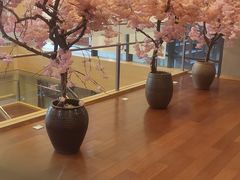 -极乐汤(川沙店)