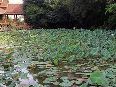 -西双版纳总佛寺